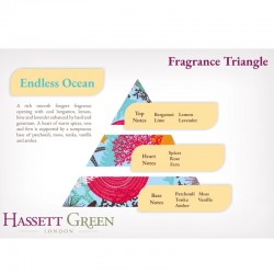 Aromatic Space Endless Ocean Fragrance 100ml 1195 Hassett Green