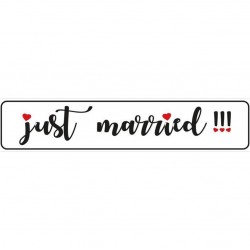 "JUST MARRIED" CAR WEDDING PLATE
